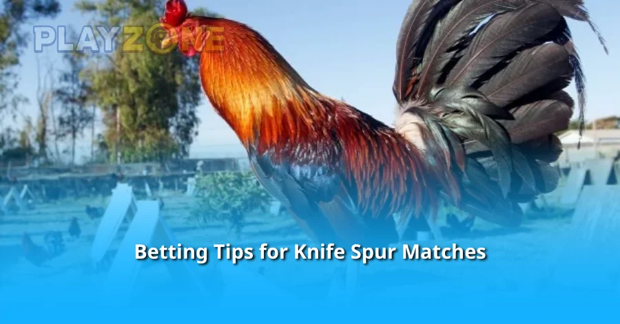 Betting Tips for Knife Spur Matches