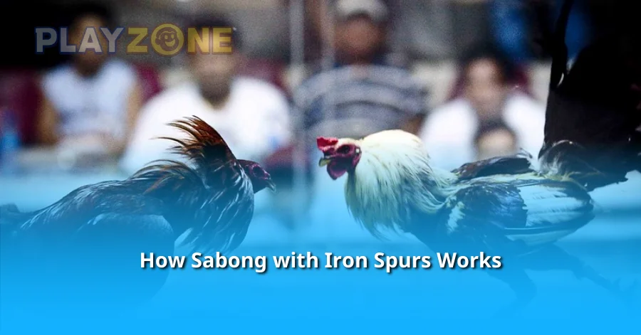 How Sabong with Iron Spurs Works